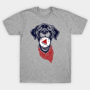 Fenway Baseball Dog T-Shirt